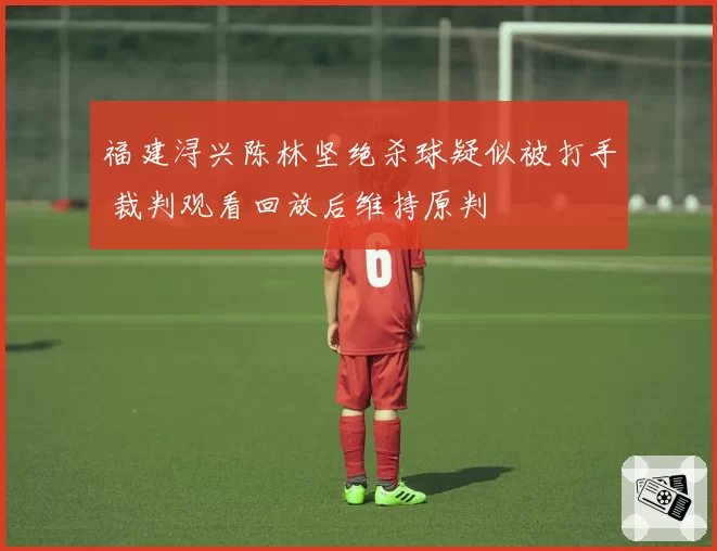 福建浔兴陈林坚绝杀球疑似被打手 裁判观看回放后维持原判