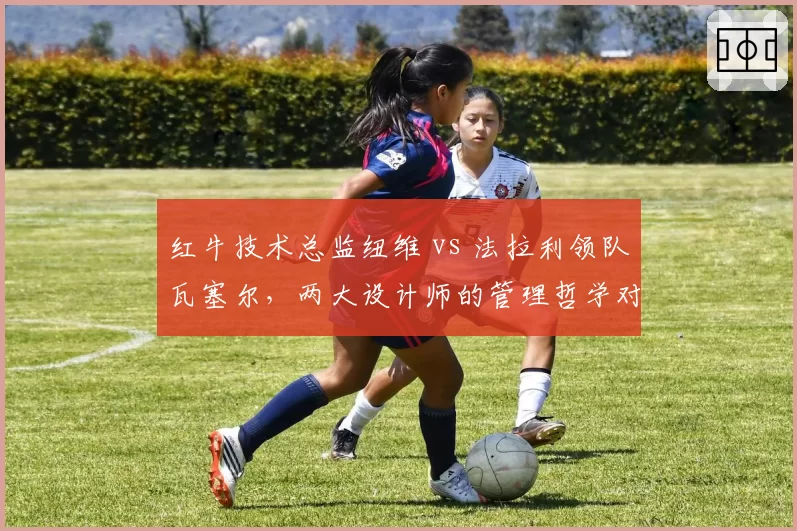 红牛技术总监纽维 vs 法拉利领队瓦塞尔,两大设计师的管理哲学对决