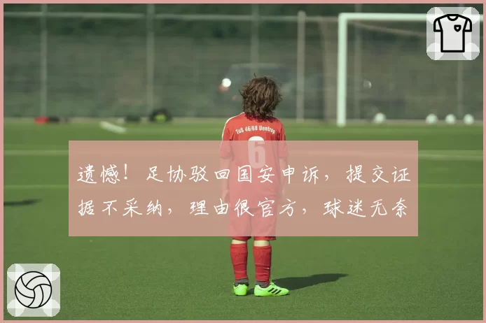 遗憾！足协驳回国安申诉，提交证据不采纳，理由很官方，球迷无奈